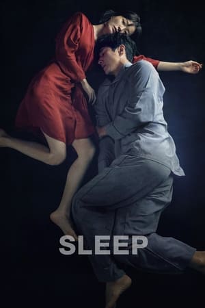 Sleep (2023) Hindi Dual Audio – 720p – 480p